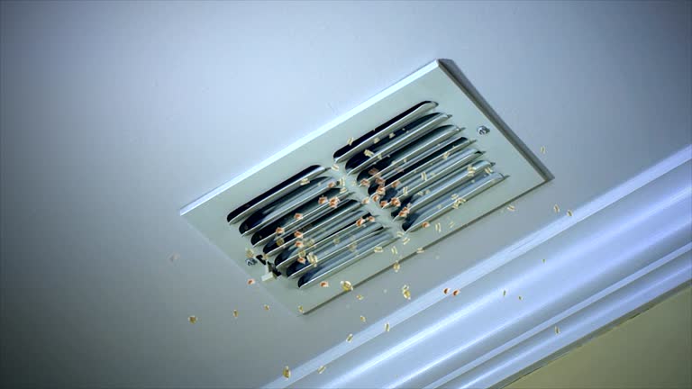 Best General Air Duct Cleaning  in Fox Point, WI