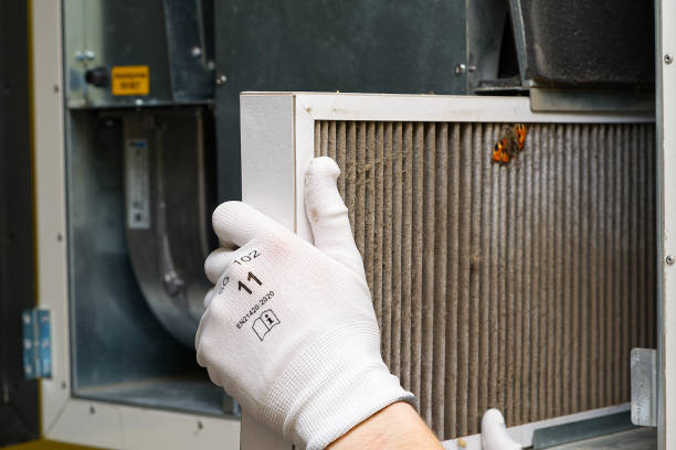 Best Air Quality Test  in Fox Point, WI